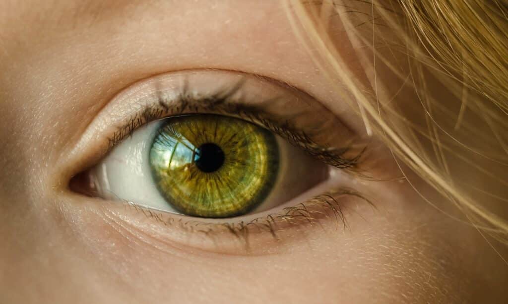 eye, iris, look-1132531.jpg